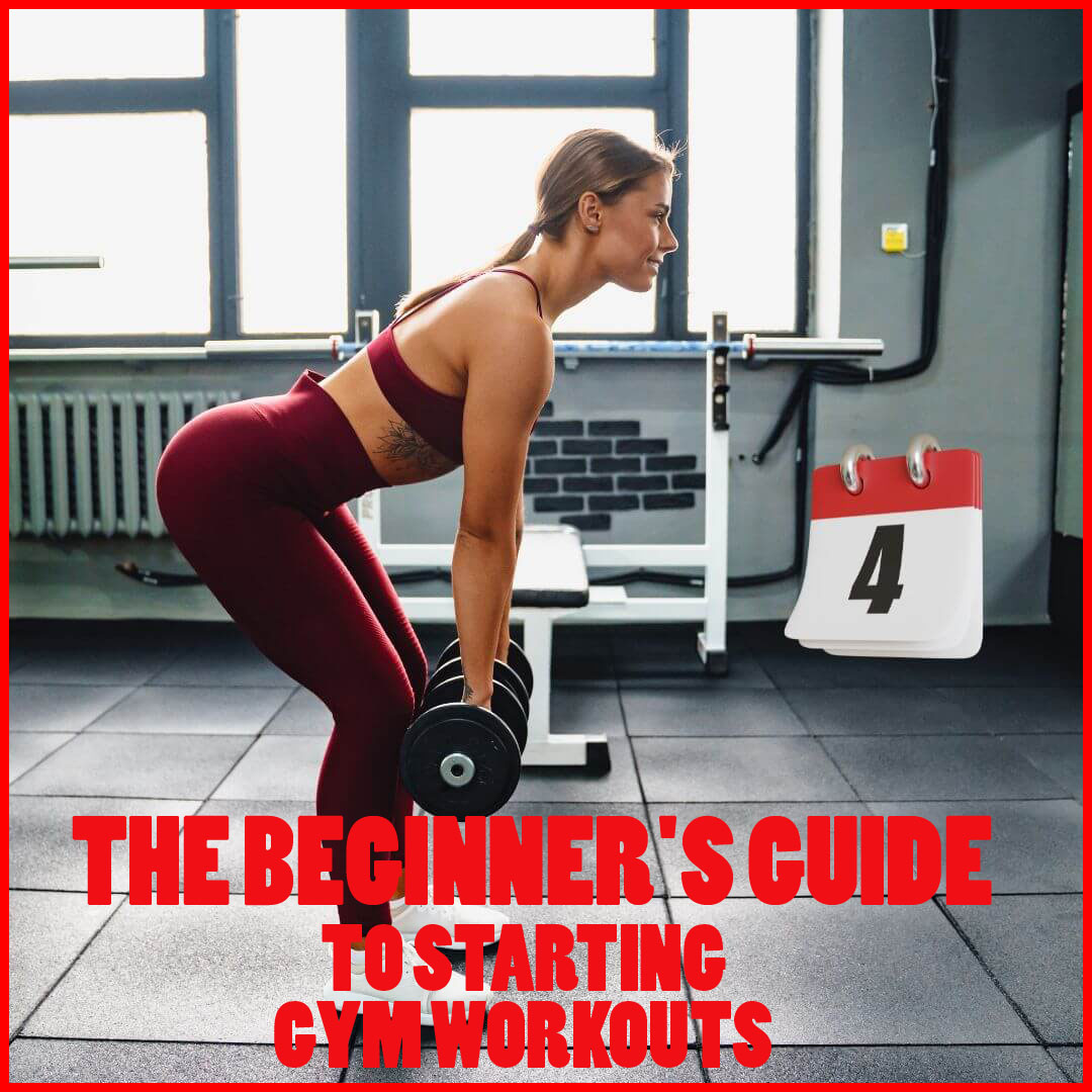 The Beginner's Guide to Starting Gym Workouts